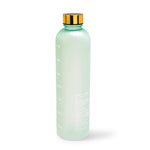 Healthish Water Bottle- Mint
