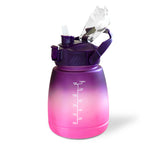 The "Lantern" Motivational- Purple to Pink